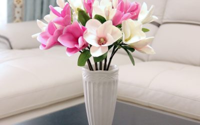 Chào tất cả mọi người!